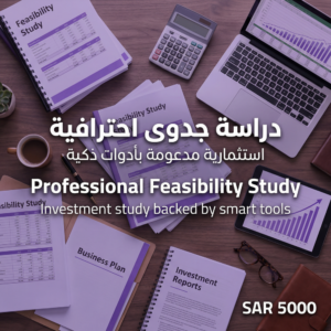 دراسة جدوى احترافية